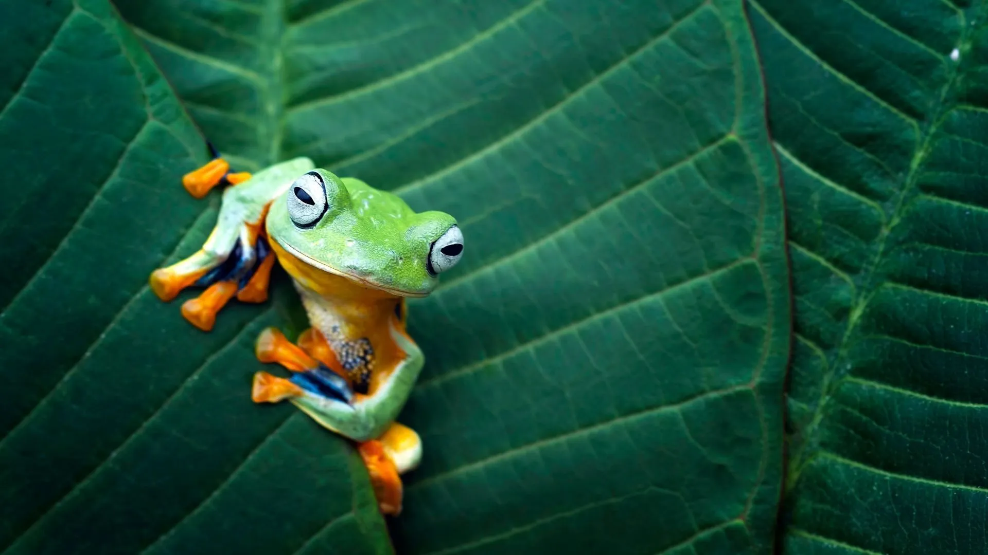 Are you a frog in hot or cold water?