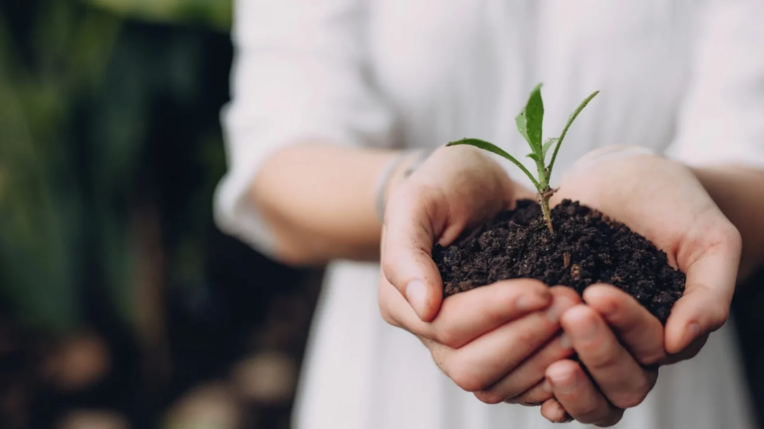 Are you growing or are you dying?