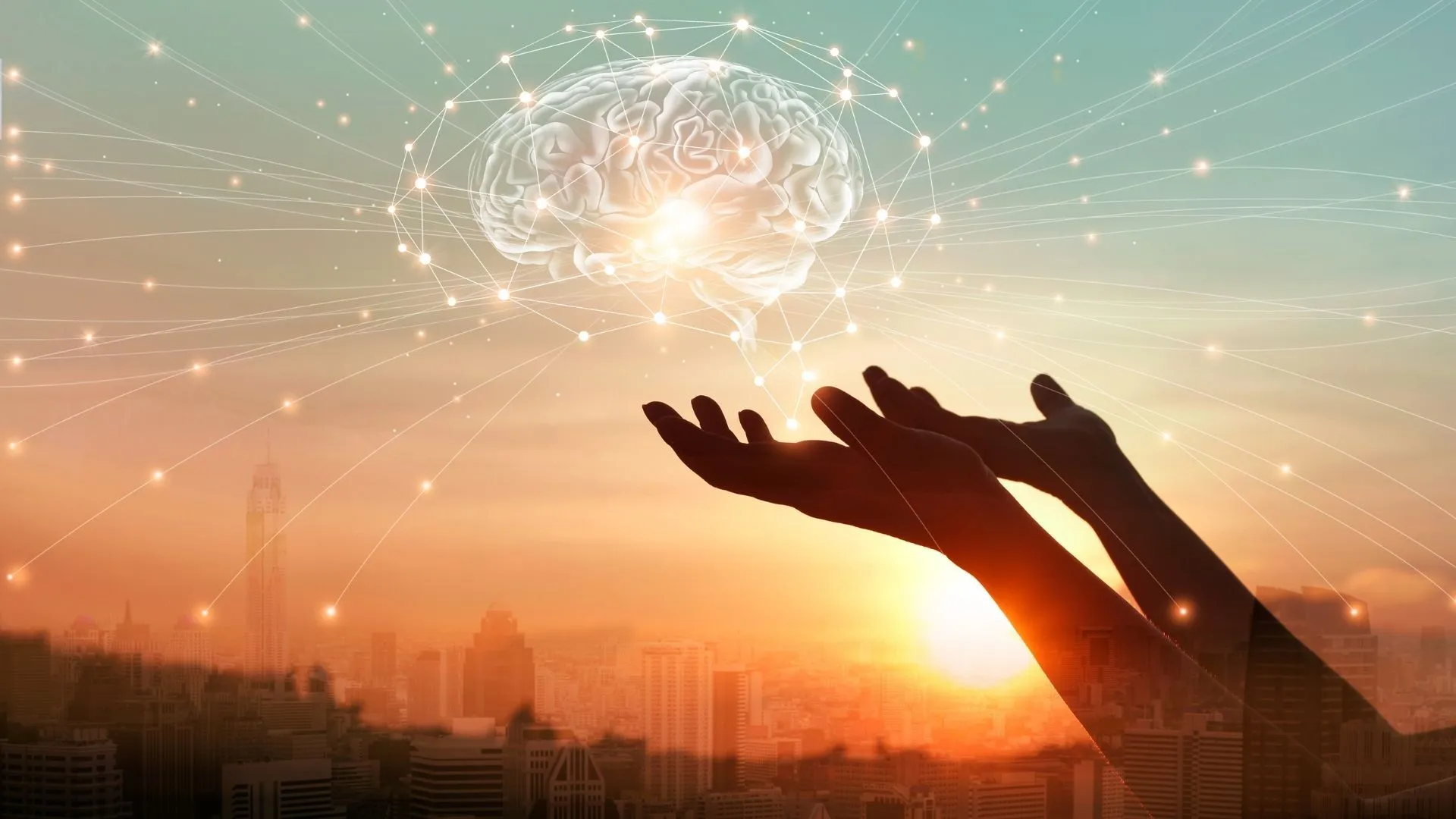 Clear out your basement