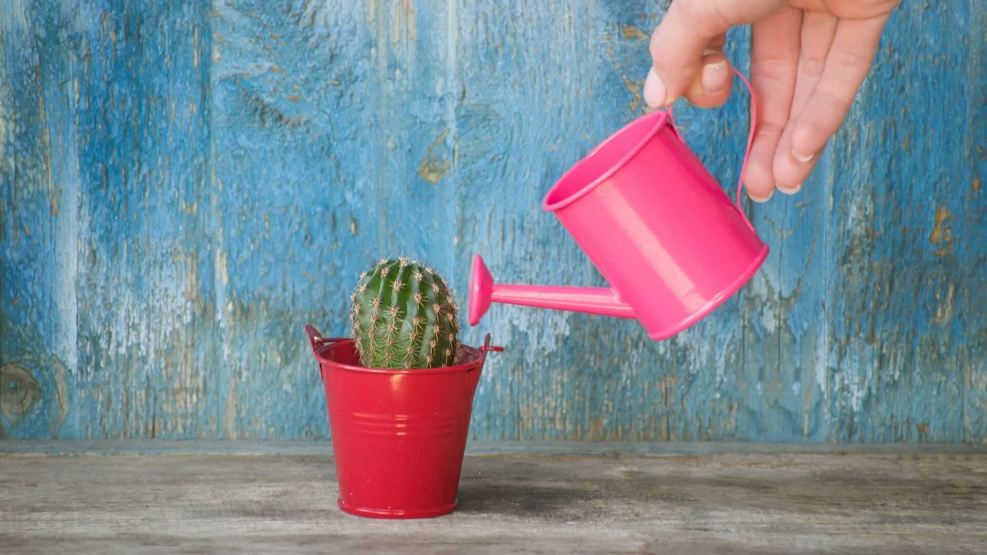 Take personal responsibility